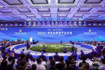 品牌，让世界更美好！菲特荣获“2025新质品牌影响力企业”